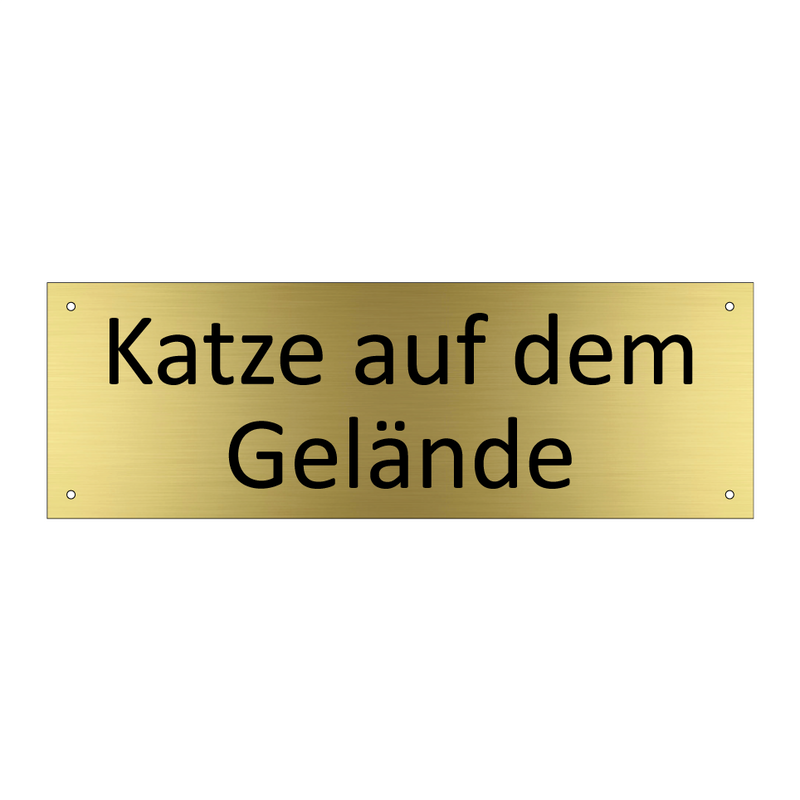 Katze auf dem Gelände