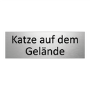 Katze auf dem Gelände