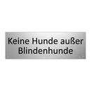 Keine Hunde außer Blindenhunde