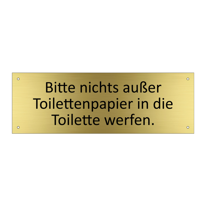 Bitte nichts außer Toilettenpapier in die Toilette werfen.