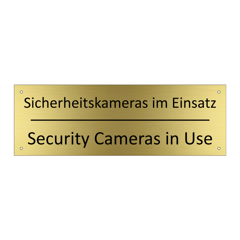 Sicherheitskameras im Einsatz - Security Cameras in Use