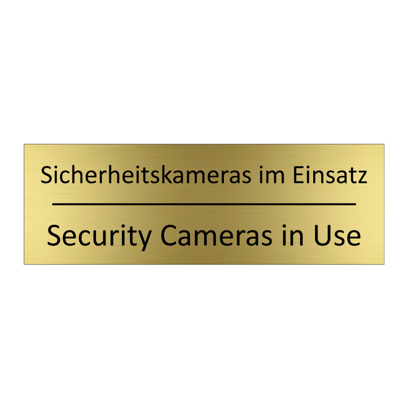 Sicherheitskameras im Einsatz - Security Cameras in Use