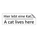 Hier lebt eine Katze - A cat lives here