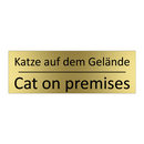 Katze auf dem Gelände - Cat on premises
