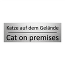 Katze auf dem Gelände - Cat on premises