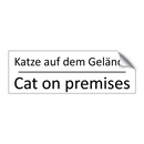 Katze auf dem Gelände - Cat on premises