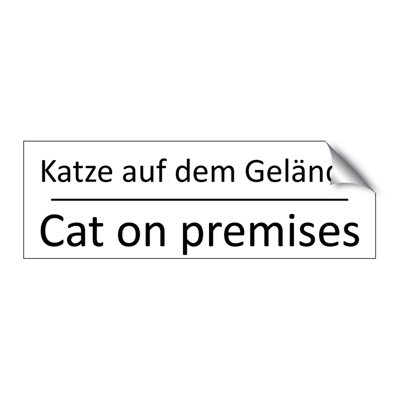 Katze auf dem Gelände - Cat on premises