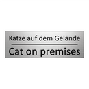 Katze auf dem Gelände - Cat on premises