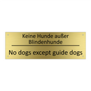 Keine Hunde außer Blindenhunde - No dogs except guide dogs