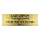 Keine Handys im Trainingsbereich /.../ - No Cell Phones in Workout Area