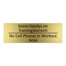 Keine Handys im Trainingsbereich /.../ - No Cell Phones in Workout Area