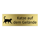 Katze auf dem Gelände