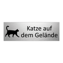 Katze auf dem Gelände