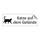 Katze auf dem Gelände