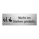 Nicht im Stehen pinkeln.