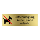 Entschuldigung, keine Hunde erlaubt