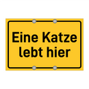 Eine Katze lebt hier