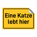 Eine Katze lebt hier