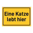 Eine Katze lebt hier