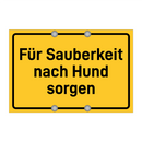Für Sauberkeit nach Hund sorgen