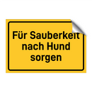 Für Sauberkeit nach Hund sorgen