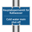 Hauptabsperrventil für Kaltwasser/.../ - Cold water main shut-off