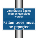Umgestürzte Bäume müssen gemeldet /.../ - Fallen trees must be reported