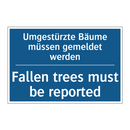 Umgestürzte Bäume müssen gemeldet /.../ - Fallen trees must be reported