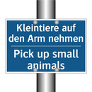 Kleintiere auf den Arm nehmen - Pick up small animals