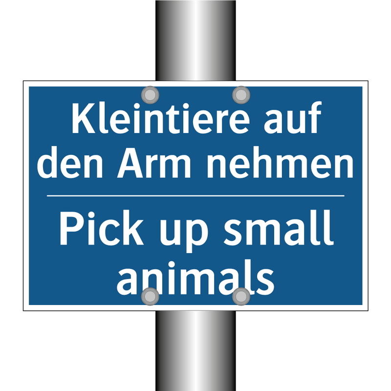 Kleintiere auf den Arm nehmen - Pick up small animals