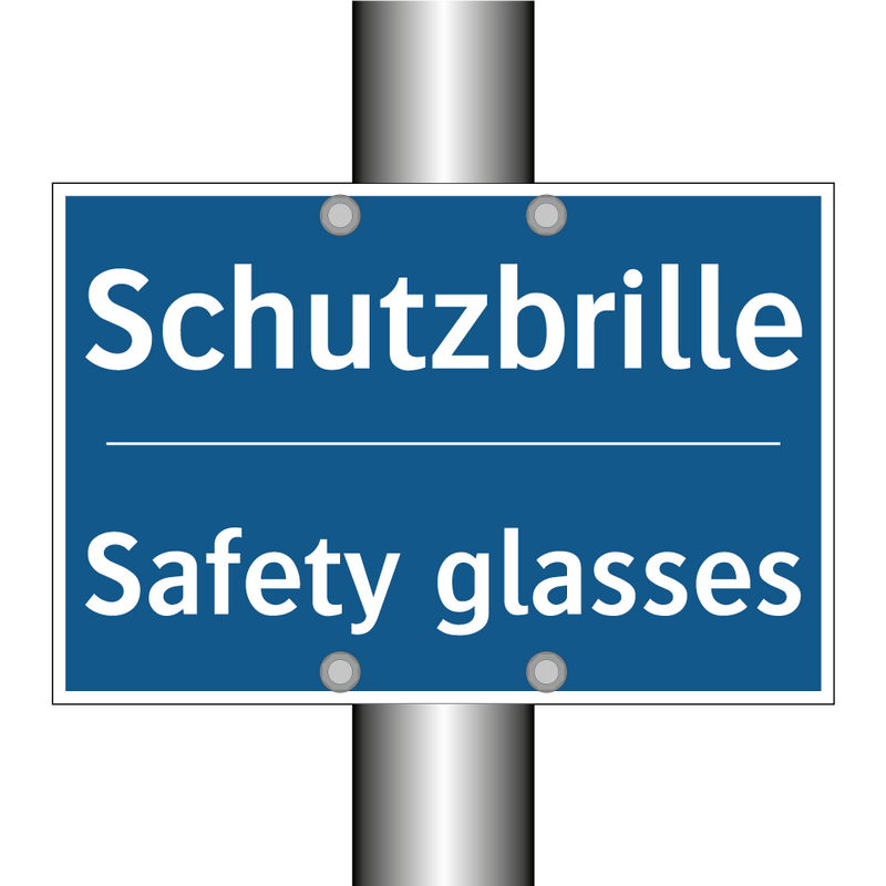 Schutzbrille - Safety glasses