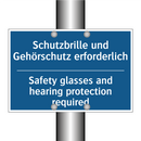 Schutzbrille und Gehörschutz erforderlich/.../ - Safety glasses and hearing protection /.../