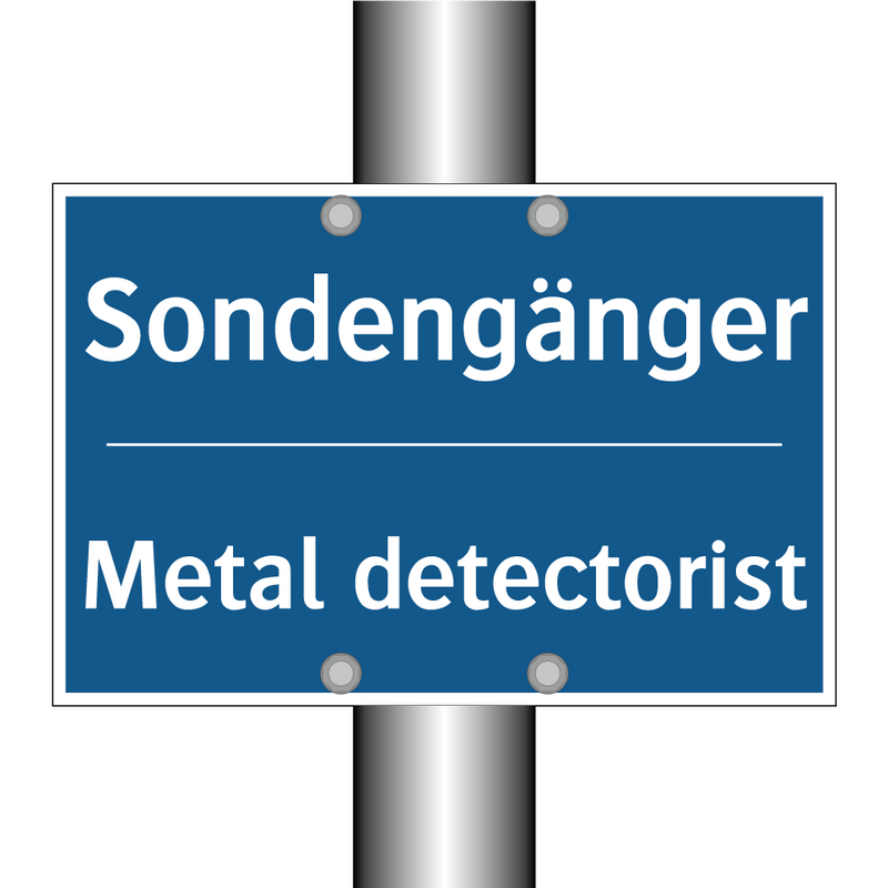 Sondengänger - Metal detectorist