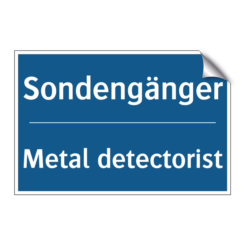 Sondengänger - Metal detectorist