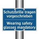 Schutzbrille tragen vorgeschrieben/.../ - Wearing safety glasses mandatory/.../