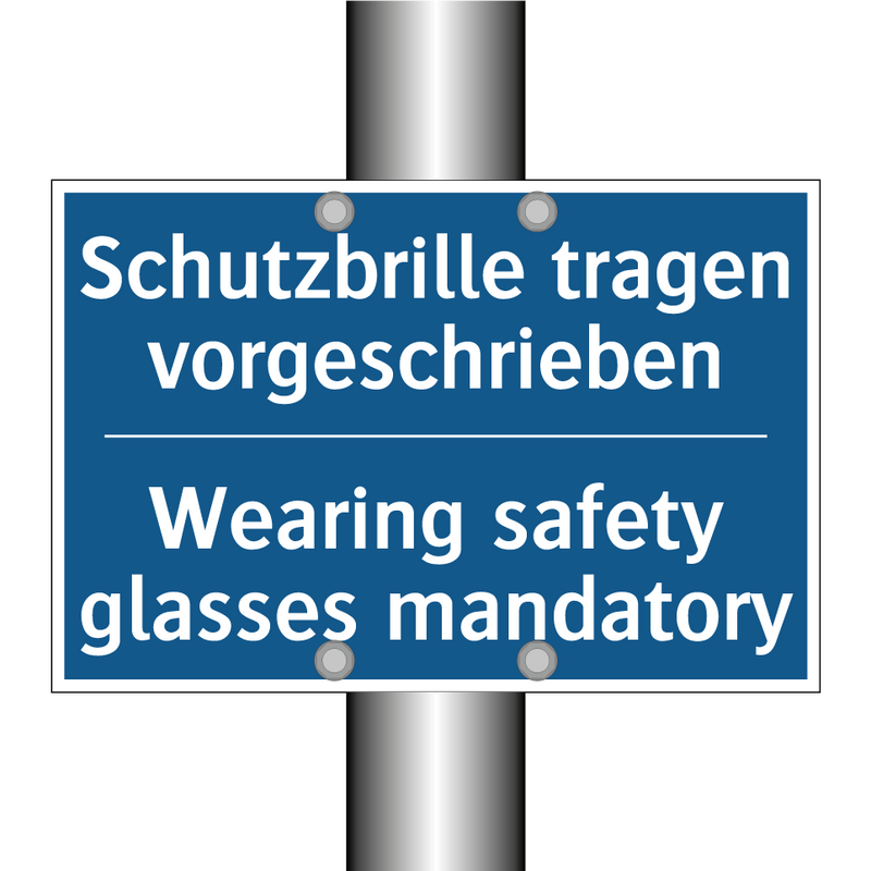 Schutzbrille tragen vorgeschrieben/.../ - Wearing safety glasses mandatory/.../