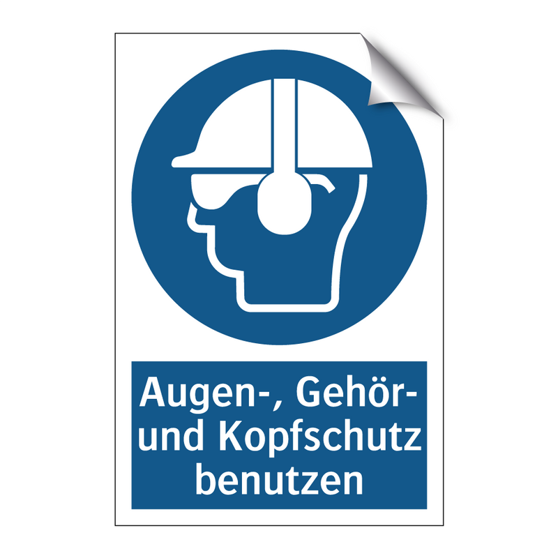 Augen-, Gehör- und Kopfschutz benutzen