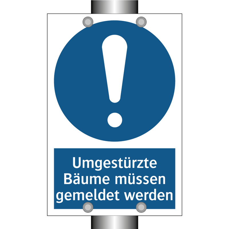 Umgestürzte Bäume müssen gemeldet werden