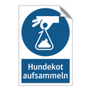 Hundekot aufsammeln