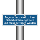 Augenschutz wird zu Ihrer Sicherheit bereitgestellt und muss getragen werden.