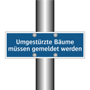 Umgestürzte Bäume müssen gemeldet werden