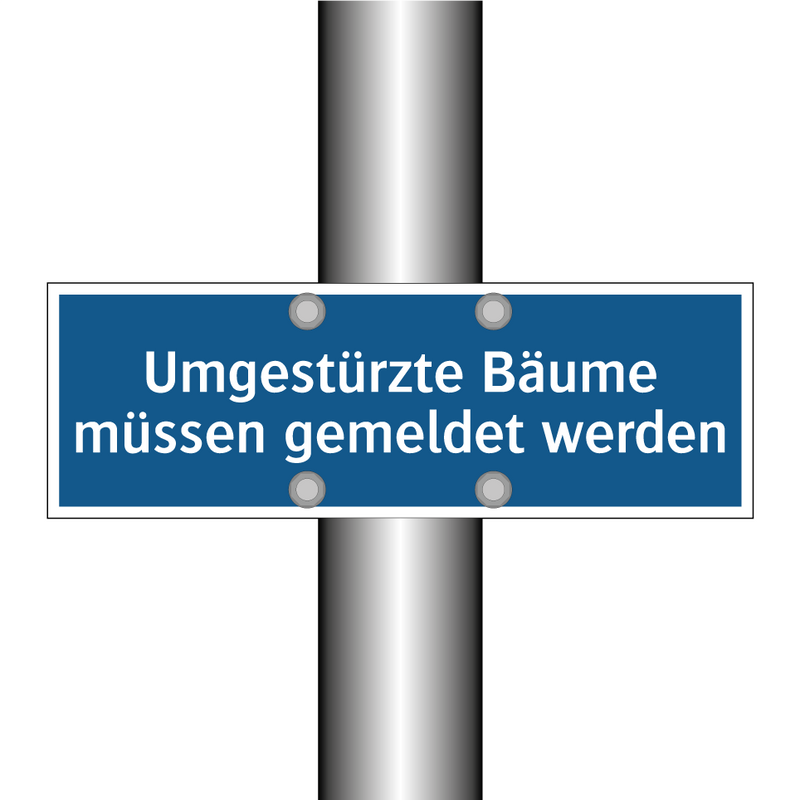 Umgestürzte Bäume müssen gemeldet werden