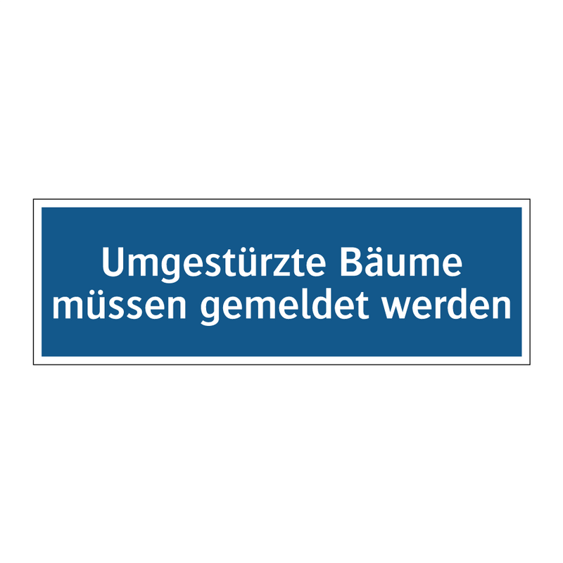 Umgestürzte Bäume müssen gemeldet werden