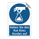 Heben Sie den Kot Ihres Hundes auf