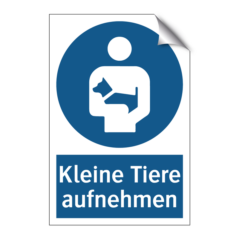 Kleine Tiere aufnehmen