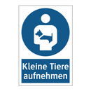 Kleine Tiere aufnehmen