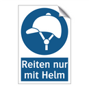 Reiten nur mit Helm