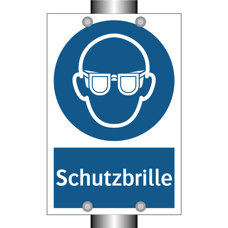 Schutzbrille