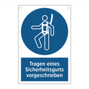Tragen eines Sicherheitsgurts vorgeschrieben