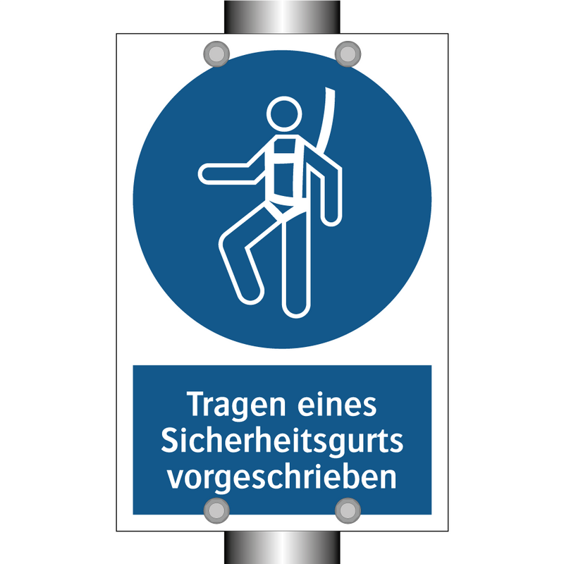 Tragen eines Sicherheitsgurts vorgeschrieben